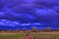 Regenbogen
