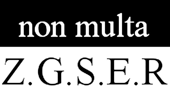 ZGSERlogo